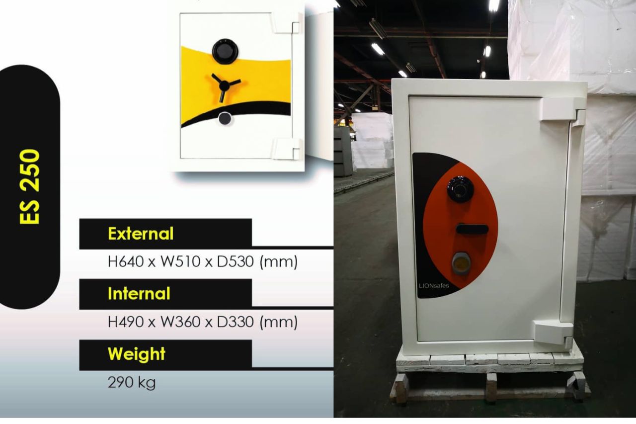 Lion Safe ES250